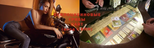 не бодяженный Армянск