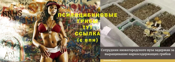 эйфоретик Аркадак