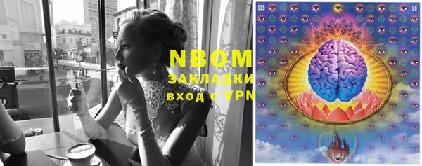 эйфоретик Аркадак