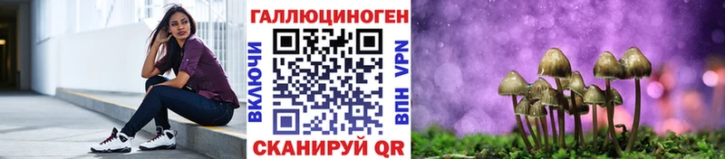 omg   Покров  Псилоцибиновые грибы прущие грибы 